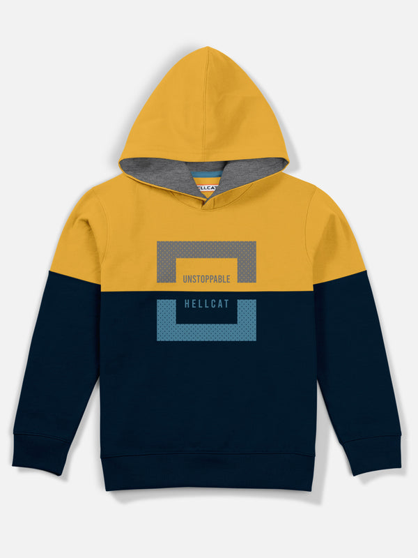 Trendy Multicolour Hoodie Sweatshirt for Boys